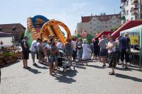 IMG_9958.jpg