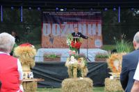 IMG_4390.jpg