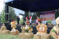 IMG_4481.jpg