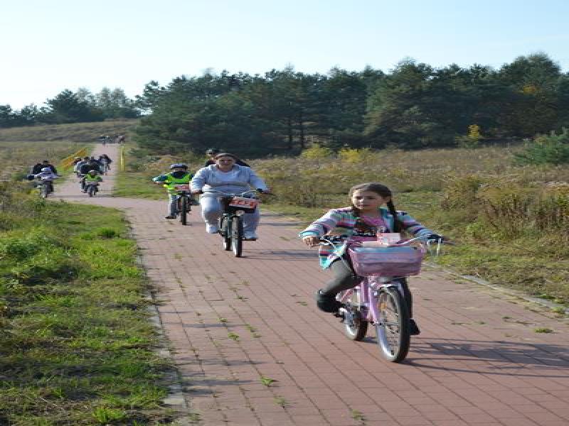 DSC_0136 (Copy).jpg