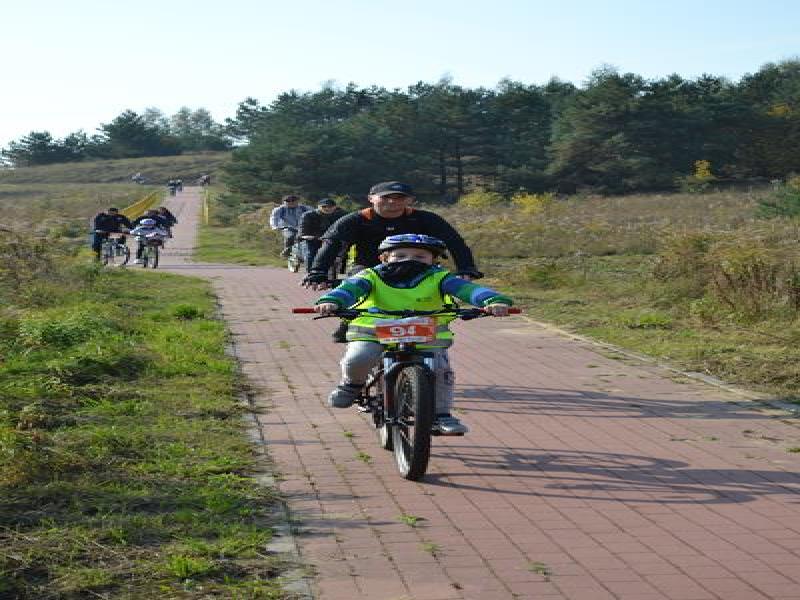 DSC_0137 (Copy).jpg