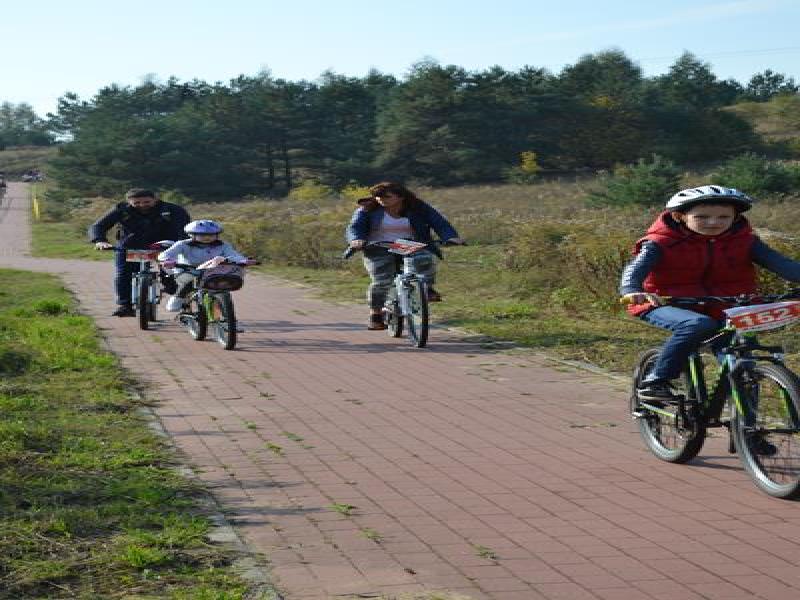 DSC_0140 (Copy).jpg