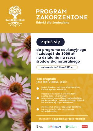Nabór dla sołtysek