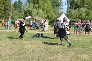 Walczący rycerze