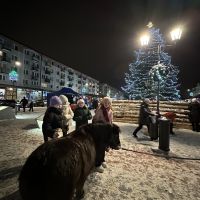 Jarmark Bożonarodzeniowy