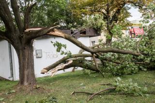 Straż Pożarna i służby porządkowe walczą ze skutkami nawałnicy- ZOBACZ ZDJĘCIA