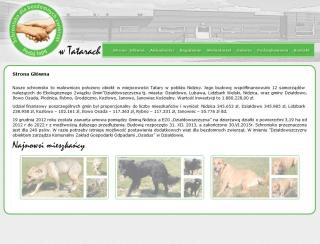 UWAGA! Nidzickie schronisko ma swoja stronę internetową!