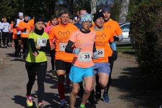 Za nami drugi Bieg Gregoroviusa – ZOBACZ ZDJĘCIA I WYNIKI